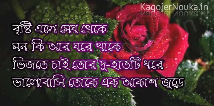 best bangla brishti Shayari photo image download
